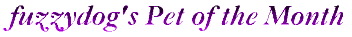 Fuzzydog Coolpets