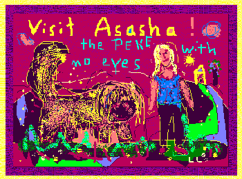 Visit Asasha, the Peke with no eyes!