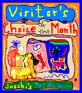 Visitor's CHOICE of the MONTH