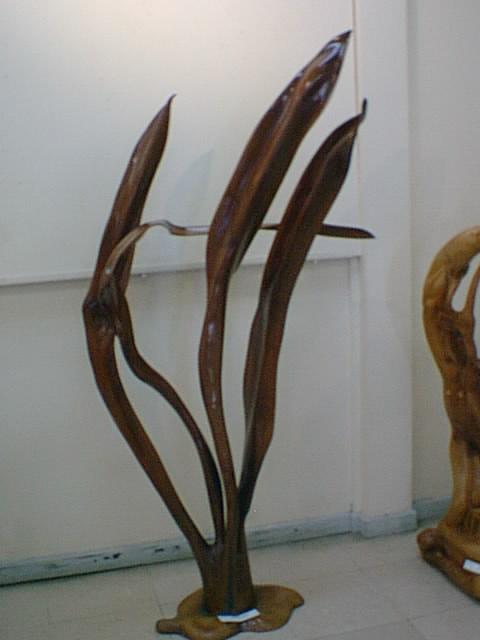Planta Alga