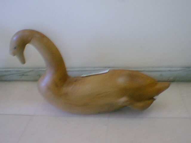 Cisne
