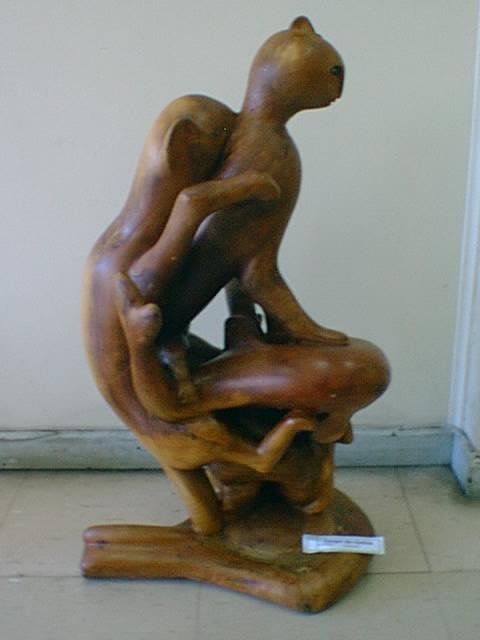 Juego de Gatos