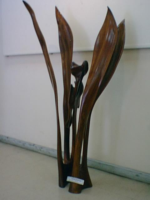Planta Elefante