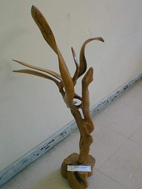 Danza Nupcial