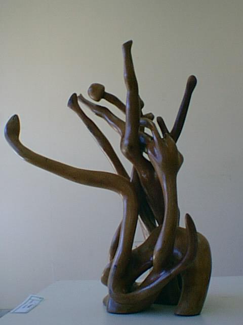 Humanidad Invertida