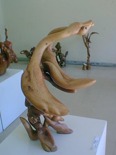 Arrullo de Cisnes