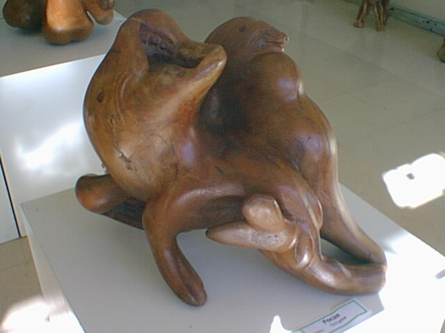 Fauna Marina
