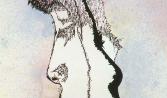 Dos Mujeres.   Acuarela y Tinta China:   Jos&eacute; de Le&oacute;n.