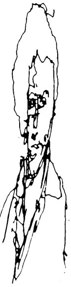 PRESENTACION     Dibujo: Jos&eacute; de Le&oacute;n