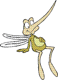 Mosquito