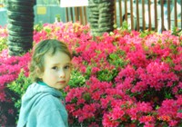 Takov�hle kytky tu kvetou ka�d� jaro. A v�ude.