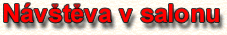 N�v�t�va v salonu