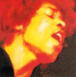 Electic Ladyland