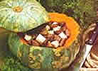 Guava Shells