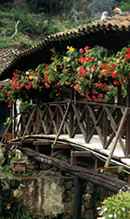 bridge