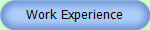 Work Experience