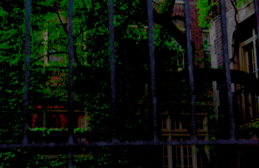 Click on the image and you'll get back to where you were