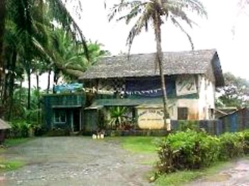 Surviving_03.jpg (27866 bytes)