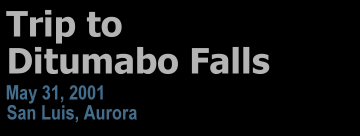 Trip To Ditumabo Falls