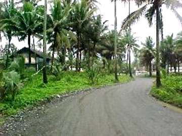 surviving_01.jpg (30814 bytes)