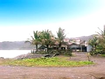 surviving_02.jpg (18972 bytes)