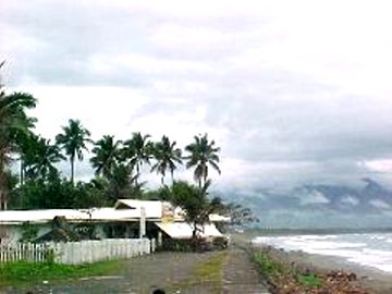 surviving_04.jpg (19236 bytes)