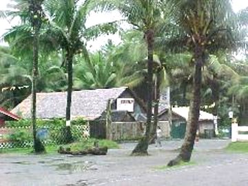 surviving_05.jpg (29914 bytes)