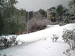 Snow 1