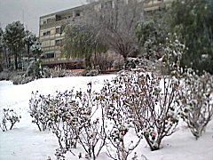 Snow 2