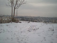 jerusalem snow 31.jpg