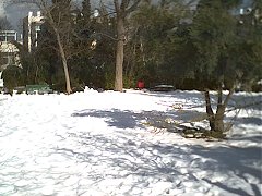 jerusalem rav herzog institute park snow 73.jpg