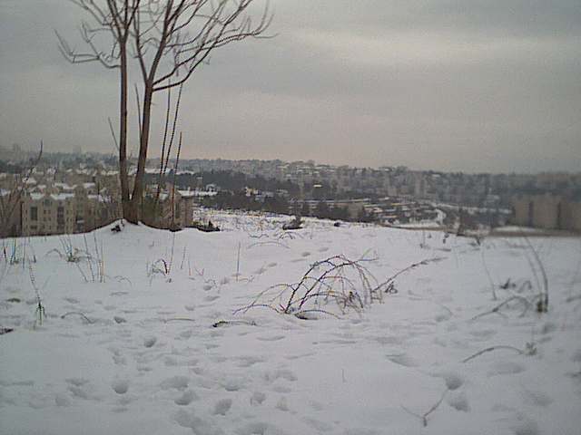 jerusalem snow-31.jpg