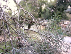 20040102-07.jpg
