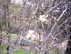 20040102-09.jpg