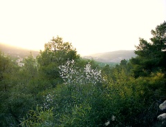 20040102-11.jpg