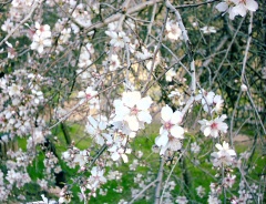 20040123-07.jpg