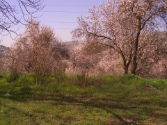 20050218-moza-3034.jpg