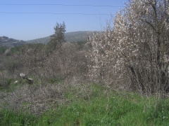 20050218-moza-3037.jpg