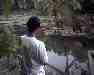 Photo Number 8