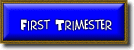 Link to a Course Description of the First Trimester