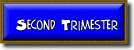Link to a Course Description of the Second Trimester