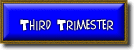 Link to a Course Description of the Third Trimester