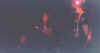Zita 1.jpg (7309 bytes)