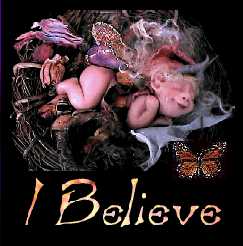Orphaned (fairy pressing :c( Join RSPCF!