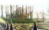 The monograms in the gardens close up