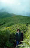 Mum and dad on one of the walking tracks on a ridge-top