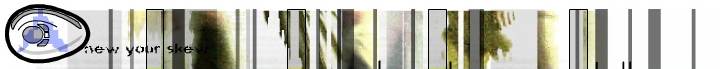 Anew your skew