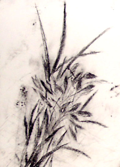 Bamboo 2002