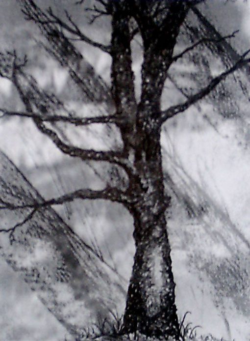 oil painitng 2002
