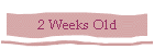 2 Weeks Old